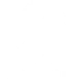Crazy Bull Hair